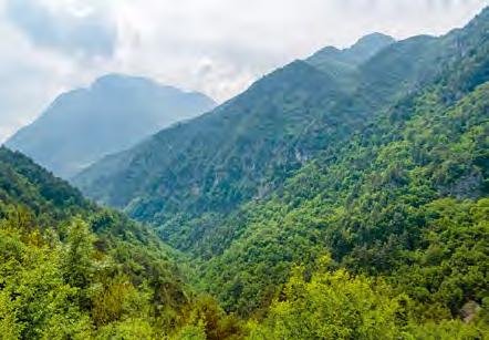 L ECCELLENZA NELLA SOSTENIBILITÀ BIODIVERSITÀ IMPATTO AMBIENTALE climatici e vegetazionali, dalla macchia mediterranea agli endemismi rupicoli subalpini.