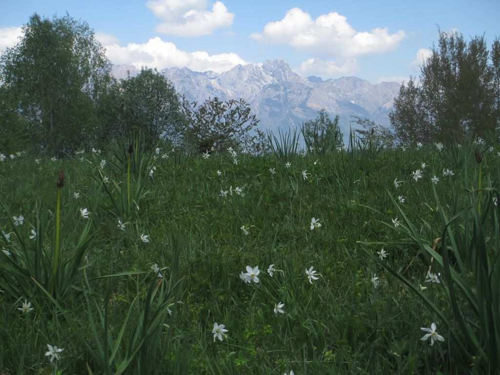 RAPPORTO SULLA RISORSA IDRICA IN