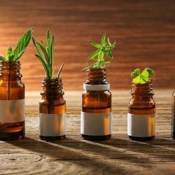 TEST MUSCOLARE 8 e 9 settembre Corso di formazione per gli Operatori Olistici e Naturopati.