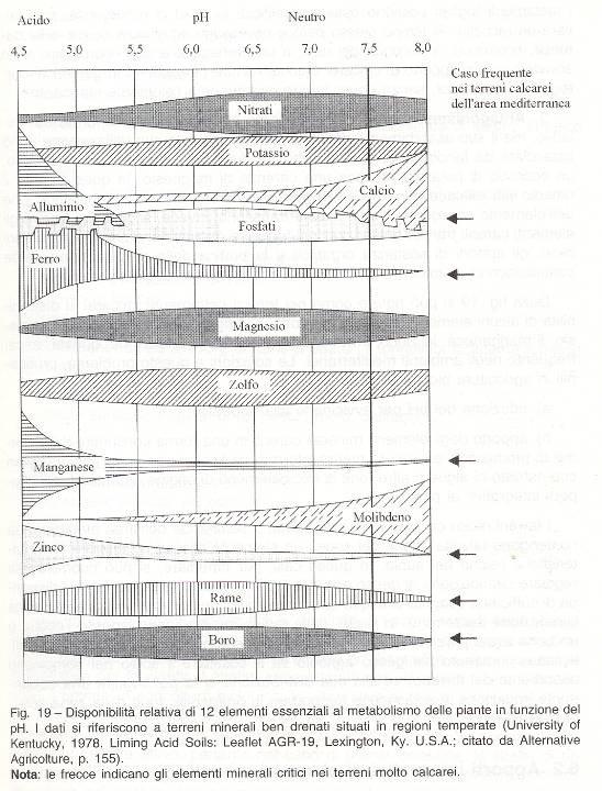 Il ph del suolo influisce sulla