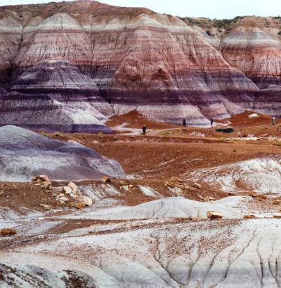 L origine del petrolio Il petrolio si presenta come un liquido denso, viscoso di colore variabile e con una densità inferiore a quella dell acqua.