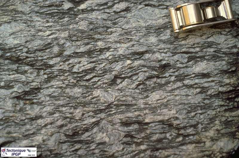 Ortogneiss a
