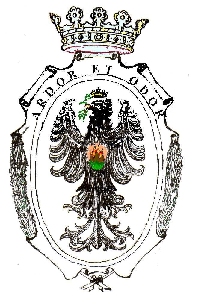 Comune di Ardore Provincia di Reggio Calabria Regolamento per la disciplina dell istituzione ed il funzionamento del servizio di reperibilità/pronto