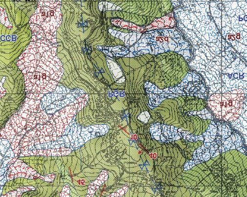 ALL. 3 - STRALCIO DELLA CARTA GEOLOGICA DELLA R.E.R. scala 1 : 10.000 tratto da: Carta Geologica 1 : 50.