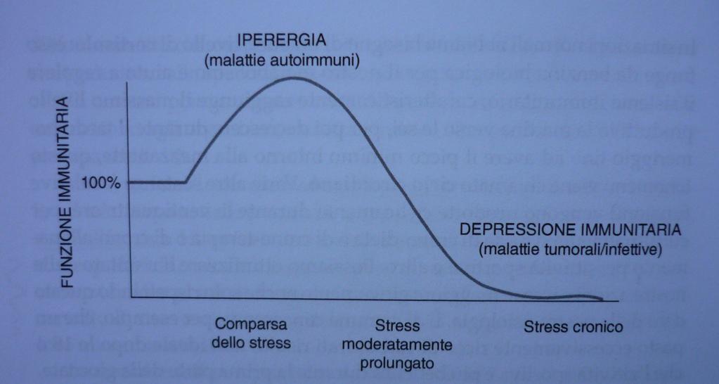 STRESS/Sistema immunitario Uno stress acuto, che dura quindi un tempo limitato ha normalmente un effetto stimolante l'attività immunitaria.