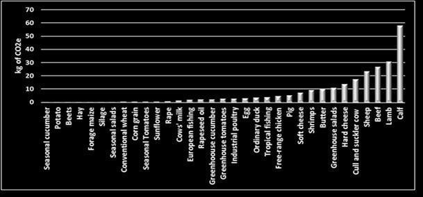 Fattori di Emissione Esempi di cibo kg di CO2e per la