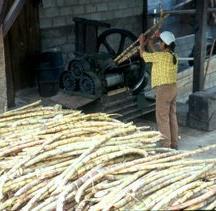 COPROPAP Paese: Ecuador Fondazione: 1991 Persone coinvolte: 28 soci e le loro famiglie; i beneficiari nelle comunità sono circa 700 persone La Cooperativa de producción de Panela El Paraiso