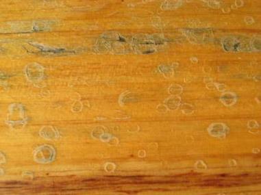 5 - Formazioni di crepe Accade talvolta che nel legno, a seguito di esposizioni molto soleggiate o in situazioni particolari si possa formare qualche crepa, solitamente in prossimità delle teste.
