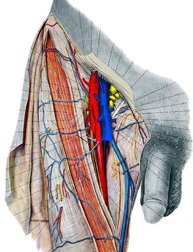 DIAGNOSI E STADIAZIONE Una stadiazione corretta del tumore primitivo e delle