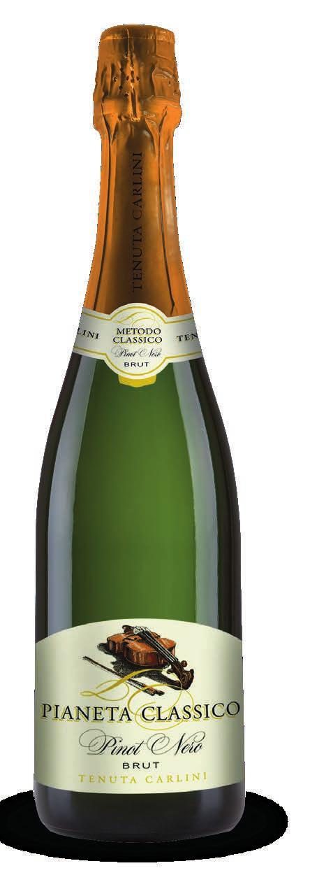 PIANETA CLASSICO La tradizione classica per un Brut esclusivo VITIGNO: Pinot Nero 100% VIGNETO: altitudine 300 metri, vendemmia effettuata a mano, resa 50 q.li ha.