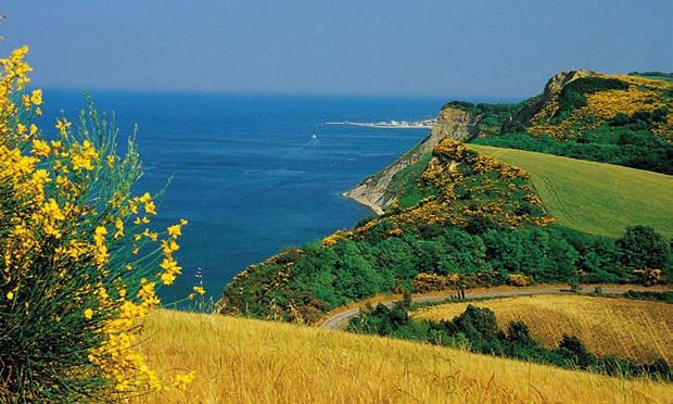 La Casa vinicola Carlini rappresenta una qualificata espressione della produzione di nicchia, situata sulle colline del Parco Naturale del Monte San Bartolo, terroir di cultura, arte e natura.