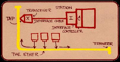 Topologia a bus, oppure a bus interconnessi a 10 Mb/s Lunghezza massima segmento coassiale 500 m (max