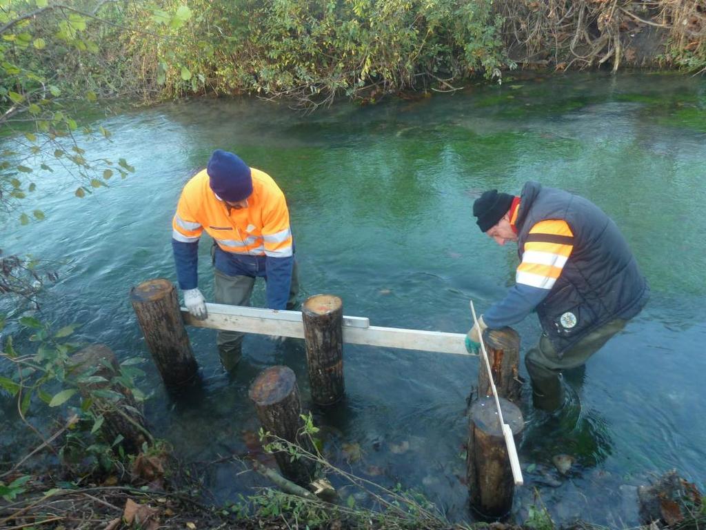 - ROGGIA TERGOLA, interventi di tutela della fauna ittica