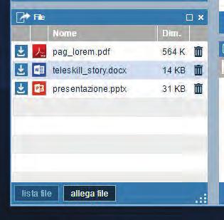 File: finestra dedicata all upload/ download dei file che Conference Manager e partecipanti abilitati intendono rendere disponibili a tutta l utenza collegata on-line.