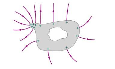 Alcuni