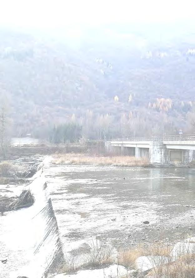 REGIONE PIEMONTE PROVINCIA DI CUNEO COMUNE DI MOIOLA IMPIANTO IDROELETTRICO SUL FIUME STURA DI DEMONTE PRESSO LA BRIGLIA ESISTENTE a valle del ponte di "San Membotto" PEC GRUPPO DI PROGETTAZIONE