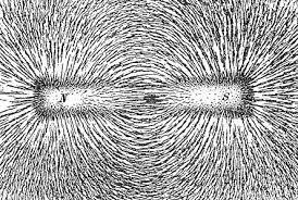 LINEE DEL CAMPO MAGNETICO Sappiamo che le linee di campo sono tangenti punto per punto al vettore campo magnetico.