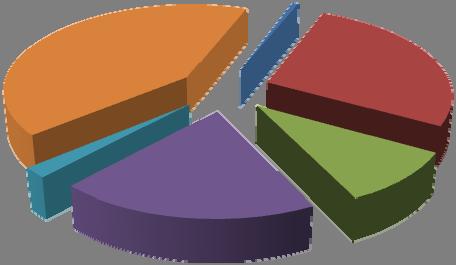 Grafico 1: Distribuzione del campione per settore. Anno 1.