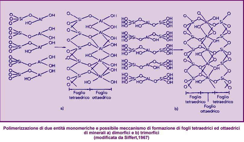 Processi di neogenesi