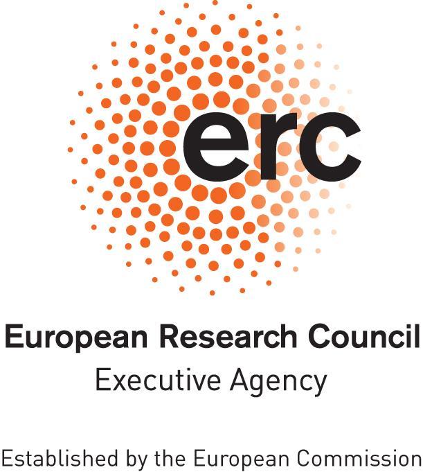Consiglio europeo della ricerca (CER) Convenzione di sovvenzione tipo H2020: Più beneficiari Sovvenzioni CER per la verifica teorica