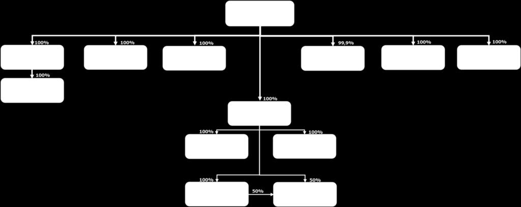 STRUTTURA DEL GRUPPO La figura successiva mostra la struttura del Gruppo Acotel al : Si segnala che la società controllante di Acotel Group S.p.A. è la Clama S.r.l. che, al, deteneva n. 2.132.