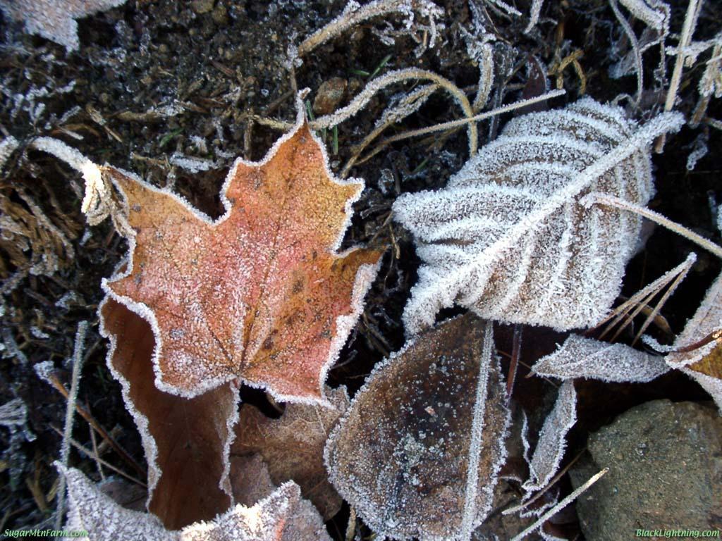 Talvolta anche nel cielo esistono grossi oggetti solidi, come gli aerei, sui quali il vapore acqueo si condensa in acqua che poi spesso, per il freddo dell alta quota, si trasforma in ghiaccio.