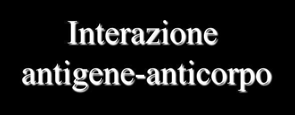 Agenti infettivi Ischemia Interazione antigene-anticorpo Stimoli fisici PRCESS IFIAMMATRI 1) Fase acuta transitoria Vasodilatazione locale Aumento della permeabilità capillare