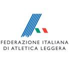 5) Gli ordini del giudice di partenza saranno in lingua italiana, si precisa inoltre che per le categorie AM e AF vige la normativa IAAF di squalifica ad ogni falsa partenza, mentre per le categorie