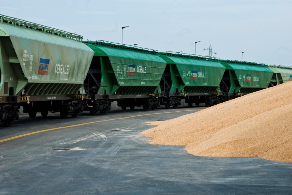 Cereal Docks collabora con il mondo agricolo italiano e internazionale nella raccolta, essiccazione, stoccaggio e