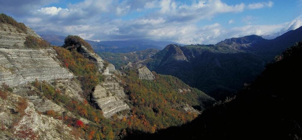 Geologia del Parco Il territorio del Parco Nazionale è caratterizzato da un assetto geologico piuttosto omogeneo per quanto riguarda il versante romagnolo: Successione