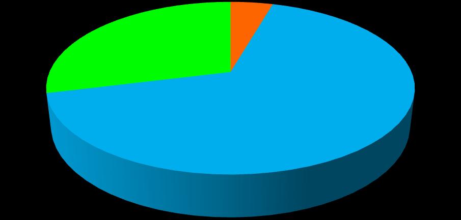 numero inadeguato Presenti in numero adeguato 6 0 19 20 45 13.33% 0.00% 42.22% 44.44% 100.