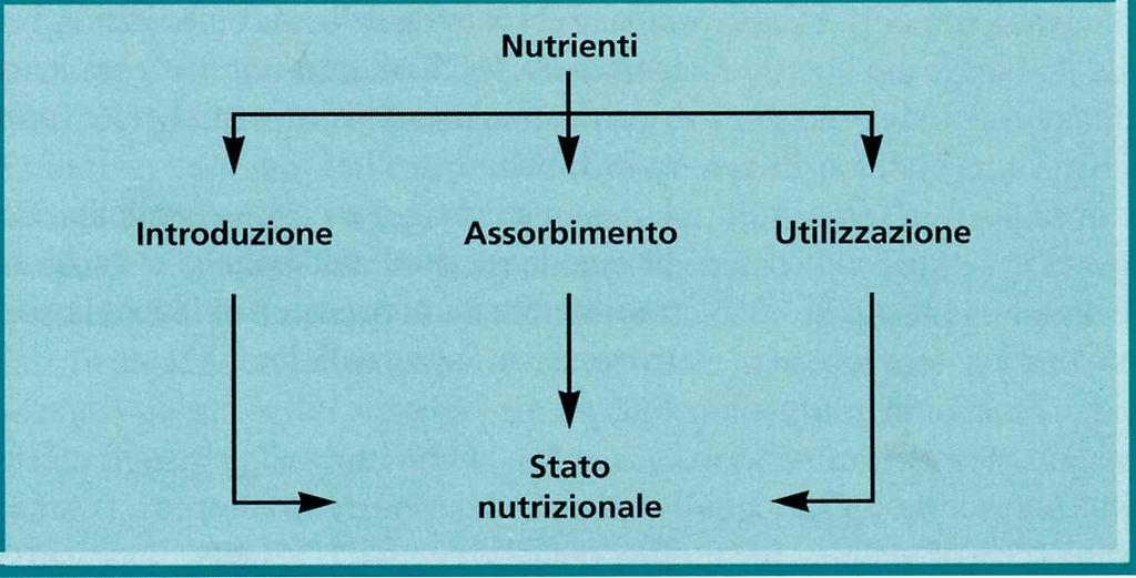 DEFINIZIONE DI STATO NUTRIZIONALE BASATA SUI TRE