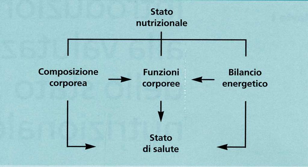 LA FUNZIONALITA CORPOREA E UNA CATEGORIA AUTONOMA DELLO STATO NUTRIZIONALE ED