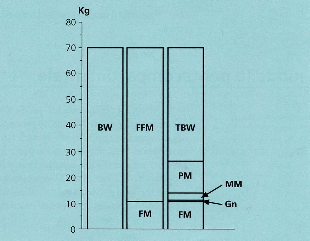 MODELLI BI- E PENTA COMPARTIMENTALE DEL CORPO UMANO NELL UOMO DI RIFERIMENTO BW = body weight FFM = free fat mass 85 % BW FM = fat