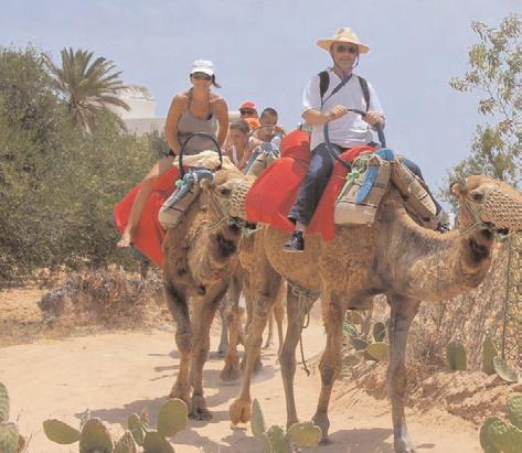 Ottima accoglienza, tanto divertimento ed escursioni alle isole Tremiti e alla Foresta Umbra, questo è il mix vincente che ha contraddistinto la gita dei soci sul Gargano.