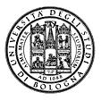 Università degli Studi di Bologna Facoltà di Ingegneria Corso di Elementi di Informatica e Applicazioni Numeriche T (6 cfu) Anno