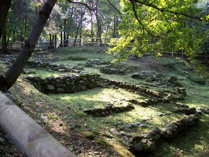 Gruppo Archeologico Ambrosiano secolo a.c. nella zona di Rondineto e Prestino, mentre la più antica zona abitata fu utilizzata come luogo di sepoltura.
