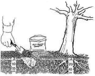 Campionamento del terreno: 1. Eliminare i primi 2 4 cm dello strato superficiale 2. Prelevare il terreno per una profondità simile all approfondimento dell apparato radicale dei vegetali coltivati 3.