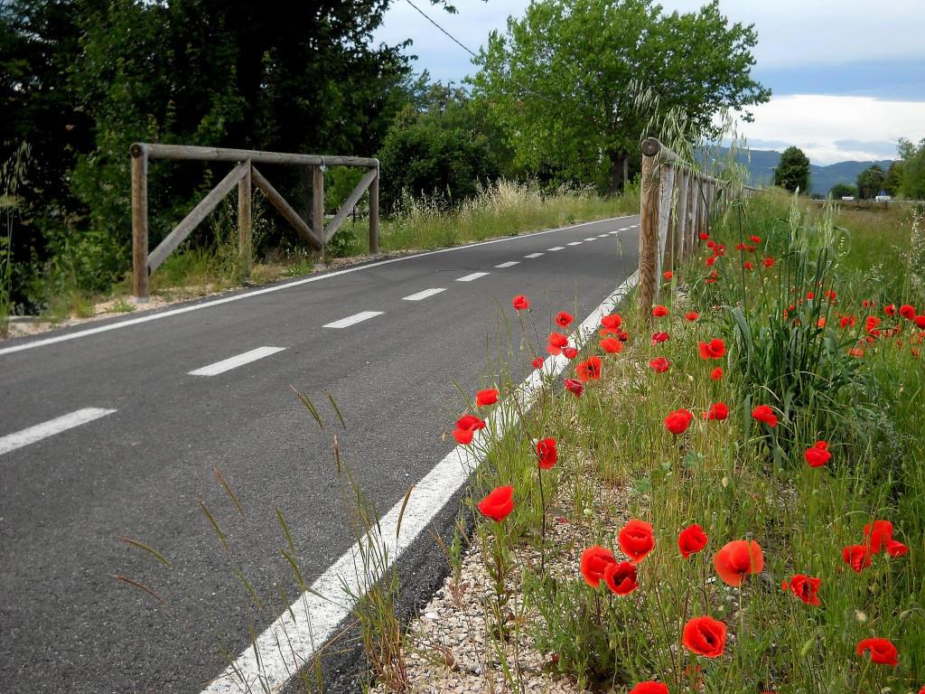 La Bicicletta ci salverà.