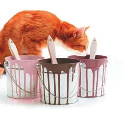 Trasloco o restauri della casa Trasferirsi in una nuova casa e spostare i mobili può essere stressante per i gatti.
