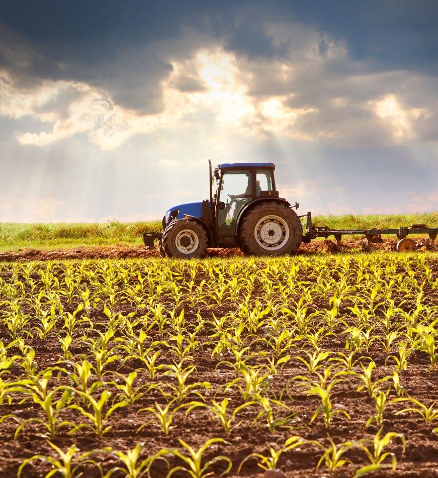 Tractors Trattori Realizza e commercializza ricambi intercambiabili per trattori CNH (Fiat, New Holland, Case IH, Ford, Steyr ), SDF (Same, Deutz-Fahr, Lamborghini, Hürlimann ), ARGO (Landini,