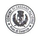 economia del comune di Cassano All Ionio giusta delibera di Giunta comunale del 27 novembre 2012 n.