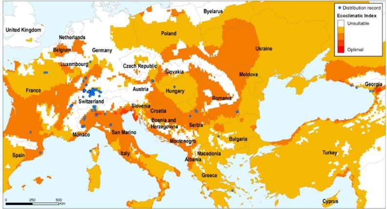 Distribuzione Modelledclimatesuitability(CLIMEX EcoclimaticIndex) for BMSB globally,