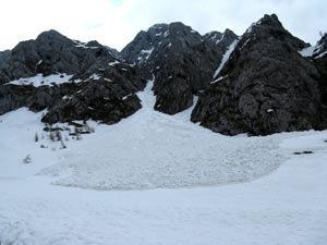 Valanghe di neve bagnata Le valanghe di neve bagnata sono costituite da neve che contiene molta acqua allo stato liquido con temperatura di 0 C.