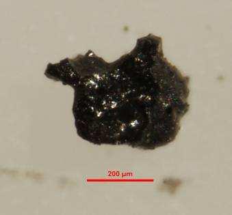 500 µm; c tachilite di colore nero lucido con morfologia blocky (scala 200 µm; d particella litica di colore grigiastro (scala 200 µm.