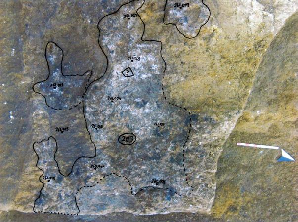 Immersi nella terra di rogo, US202, sono stati ritrovati: una tazza decorata a solcature, di cui si conservano solo parte dell orlo, della vasca carenata e dell ansa, R05, probabilmente