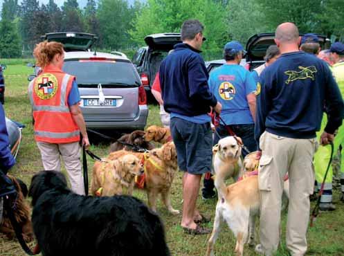 Un gruppo di volontari con i cani da salvataggio amministrativi.