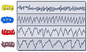 L encefalo I neuroni cerebrali generano