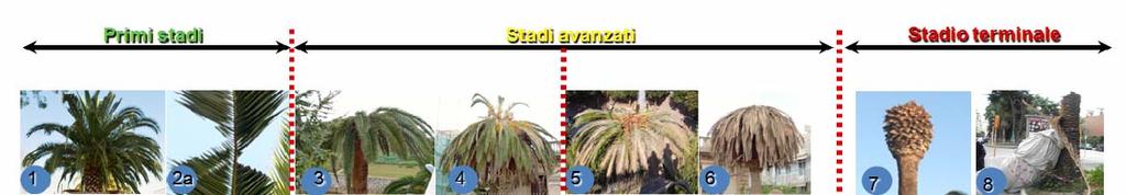 6. Zone delimitate Le zone delimitate sono definite dall art. 2 del D.M.