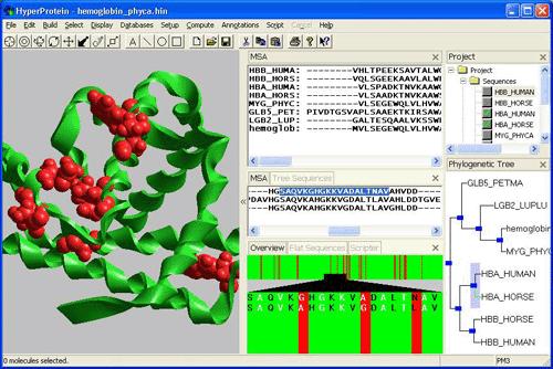 Molecular